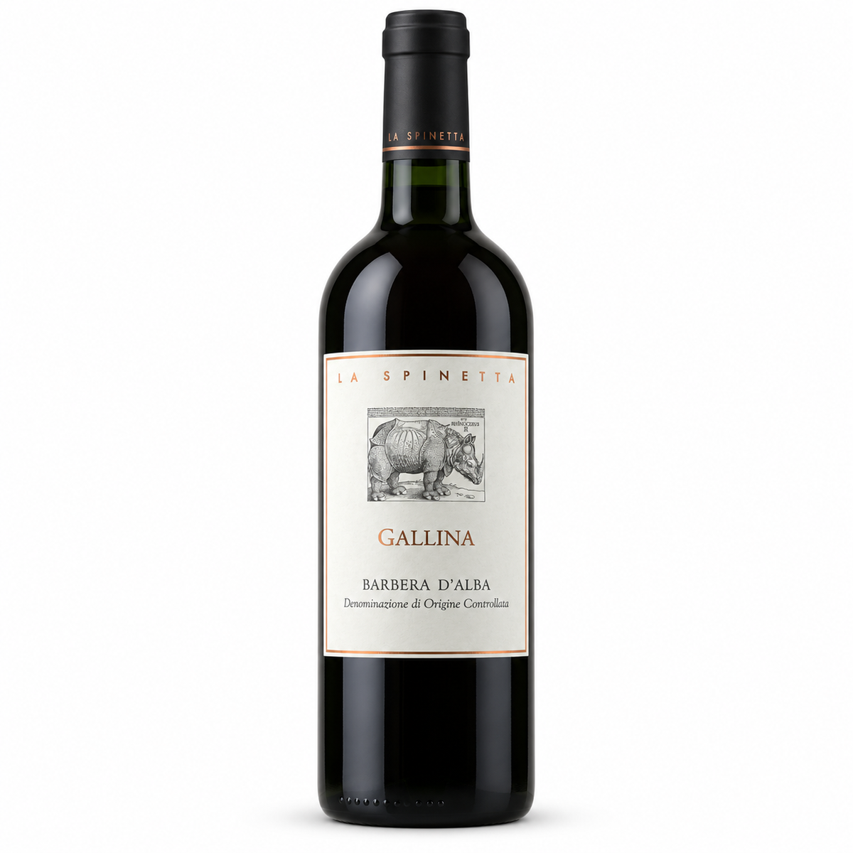 Barbera d'alba Vigna Gallina 2023